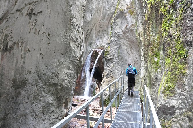 Small-Group Day Trip to the Epic 7 Ladders Canyon from Brasov - Inside the Canyon: Climbing and Crossing Suspended Bridges