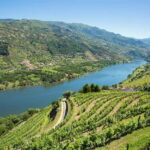 Small Group: Douro Valley Wine Tasting from Porto - Departure and Group Size Ensure Comfortable, Personalized Trips