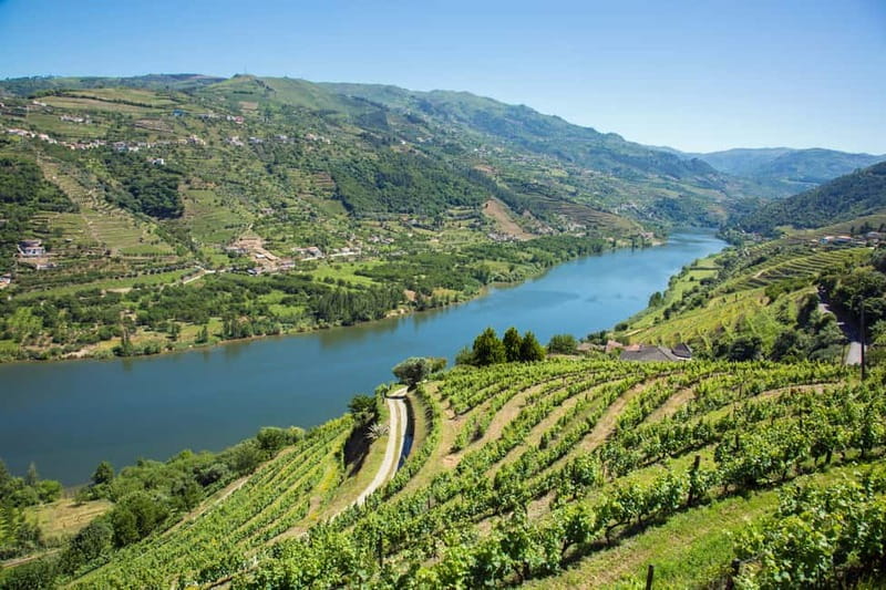 Small Group: Douro Valley Wine Tasting from Porto - Departure and Group Size Ensure Comfortable, Personalized Trips