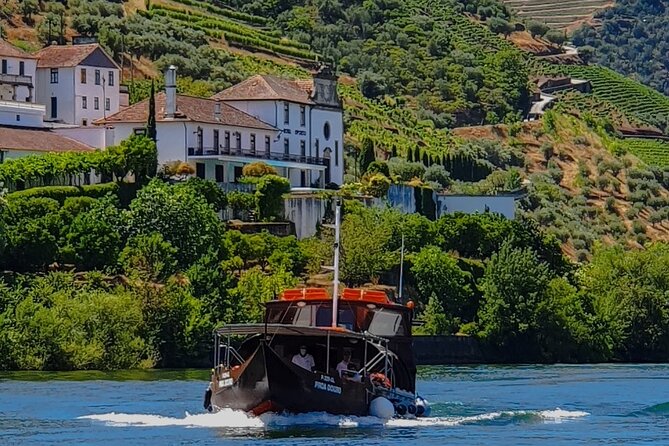 Small Group Douro Wine Valley Tour with Lunch and Wine Tasting - Visiting Wineries and Understanding Port Wine Production