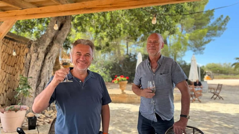 Small group- Exclusive Olive Oil & Wine Tour Mallorca - Starting Point: Hotel Pickup and Comfortable Transfers