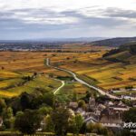 Small group full day tour in the Burgundy vineyards - Scenic Drives and Close-Up Views of Vineyards