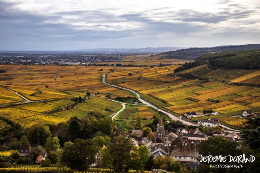 Small group full day tour in the Burgundy vineyards - Scenic Drives and Close-Up Views of Vineyards