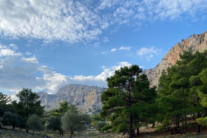 Small Group Hiking in Lindos - Visiting the Lindos Acropolis and 6th Century BC Tomb