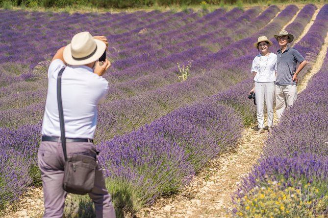 Small Group Marseille Shore Excursion: Lavender Tour - Exploring the Lavender Fields at Plateau de Valensole