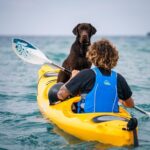 Small-Group Santorini Sea Caves Kayak Trip with Snorkeling & Picnic - Snorkeling in Clear Waters and Cave Swimming