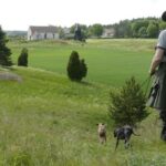 Small Group Swedish Church History 5h Tour to the countryside from Stockholm - Exploring Täby Church and Its 15th-Century Frescoes