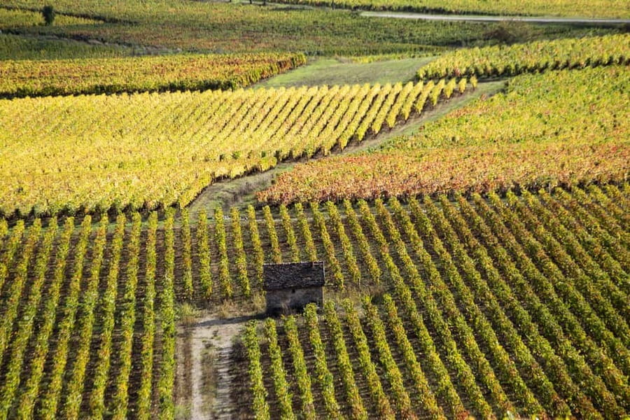 Small group tour Morning in Côte de Beaune - Visiting Top Burgundy Vineyards: Pommard, Meursault, and Montrachet