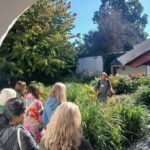 Small-Group Tour of Bruges with a local. Free Praline - Visiting the Fish Market and Tanners Square