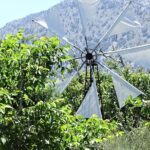 Small Group Tour to Knossos Palace Lasithi Plateau & Olive Mill - Exploring the Krasi Village and the 2400-Year-Old Platanus Tree