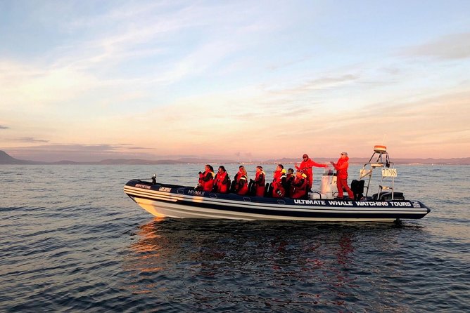 Small-group Whale Watching in the Midnight Sun from Reykjavík - Departing from Reykjavík’s Old Harbour at Ægisgarður 5d