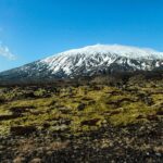 Snæfellsnes Peninsula - Full Day Private Tour from Reykjavik - Lunch Options in Arnarstapi and Hellnar