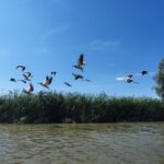 Snagov Monastery, Ceauescu Mansion, & Village Museum - 6h - Starting Point and Transportation Details