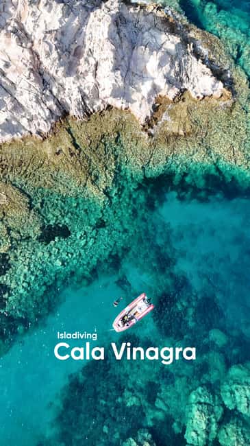 Snorkeling excursion to Carloforte, San Pietro Island - Starting Point at Isla Diving in Carloforte