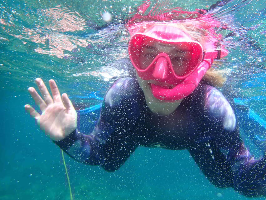 Snorkeling guided tours for tha all family! - Safety and Insurance as Top Priorities