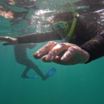 Snorkeling in tenerife south: Discover the underwater world - Starting Point at Hotel GF Isabel and the Meeting Process