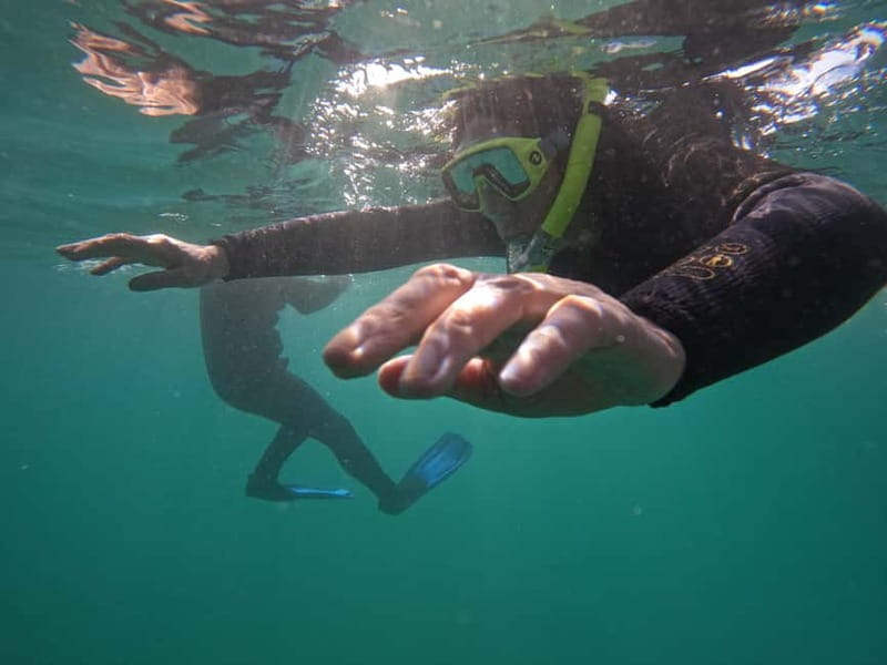 Snorkeling in tenerife south: Discover the underwater world - Starting Point at Hotel GF Isabel and the Meeting Process