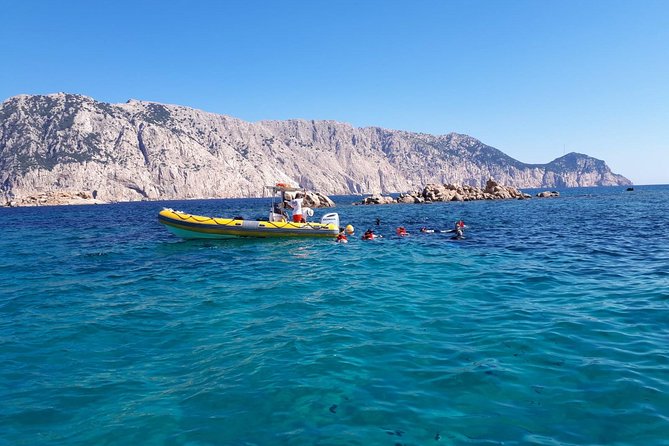 Snorkeling marine protected area Tavolara - Exploring Tavolara’s Natural and Marine Highlights