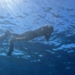 Snorkeling with a Professional Instructor in Tenerife - Detailed Briefing and Preparation by Expert Guides