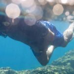 Snorkelling & Marine Biology Experience in the Cinque Terre - How the Snorkelling Journey Unfolds Around Posidonia and Reefs