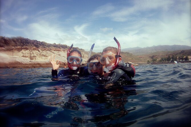 Snorkelling safari in a turtle area - Pacing and Physical Requirements