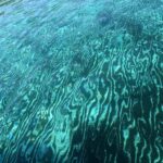 Snorkelling & Sailing In Cretes Hidden Coastal Gems - Snorkelling in Saint George Bay: Clear Waters and Vibrant Marine Life