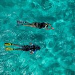 Snorkelling Trip at Ponta de São Lourenço Protected Area - Starting Point at Azul Diving Madeira in Caniçal