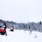 Snowmobile Safari on the Tundra - Scenic Trails and Arctic Landscapes