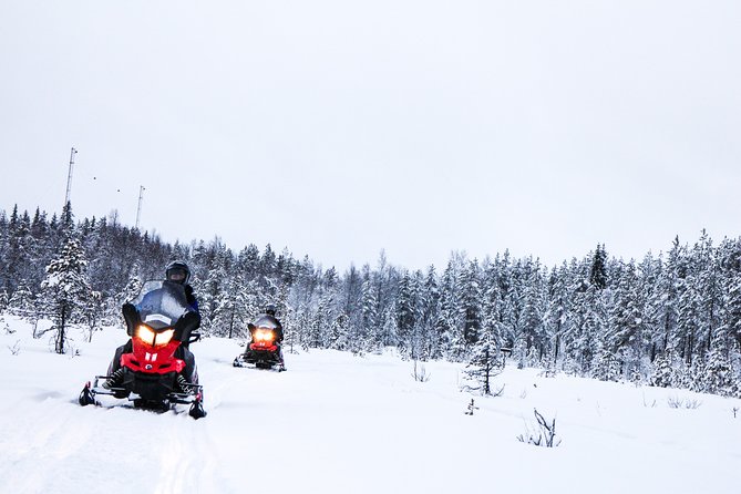 Snowmobile Safari on the Tundra - Scenic Trails and Arctic Landscapes