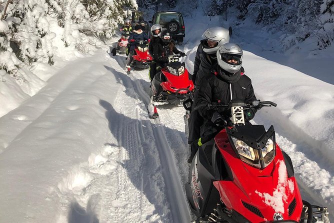 SnowMobiles Tour in Carpathian Mountains - Snowmobiles and Snowy Trails in Transylvania