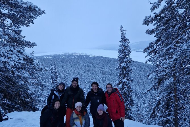 Snowshoe up a Mountain - The Experience of Small-Group Snowshoeing in Kiruna