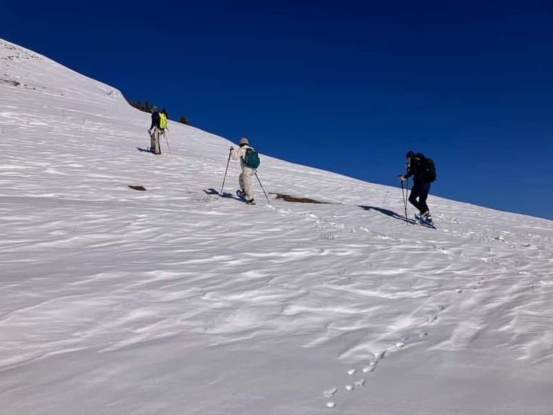 Snowshoeing in Bakuriani, Caucasus Mountains - Starting Point and Transportation Logistics