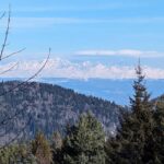 Snowshoeing in Georgia: Borjomi-Kharagauli National Park - Physical Requirements and Considerations