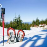 Snowshoeing in Lapland Wilderness - The Unique Arctic Landscape of Lapland for Snowshoeing