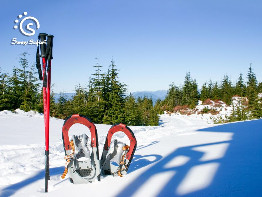 Snowshoeing in Lapland Wilderness - The Unique Arctic Landscape of Lapland for Snowshoeing