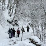 Snowshoeing in the Pollino National Park - Snowshoeing Gear and Equipment Included