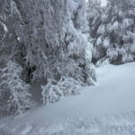 SNOWSHOES - Exploring the Somport Pass and Surrounding Areas