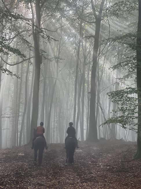Söderåsens Nationalpark: 2,5h horse back ride - Starting Point at Tostarp Bedn Ride