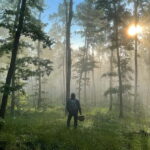 Sofia: Culinary Adventure To The Fungi And Botanical Kingdom - Exploring Sofia’s Botanical and Fungi Forests