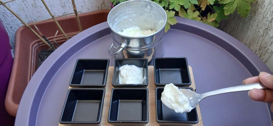 Sofia: Taste Bulgarian Yogurt Kiselo Mlyako in a Family Home - Meeting Point at James Bourchier Metro Station