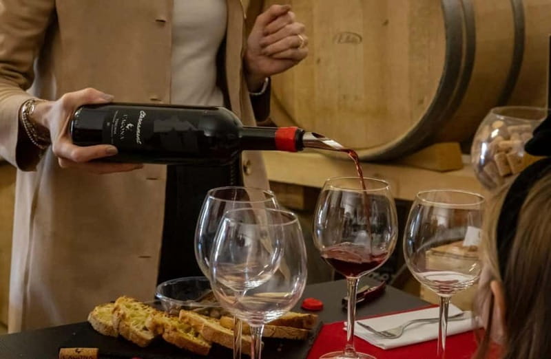 Soiana: Vineyard & Cellar Tour with Wine Tasting near Pisa - Meeting at LAgona Vini in Tuscany