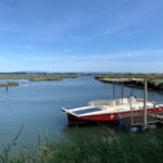Solar Boat Tour along the Salgado da Ria de Aveiro - The Unique Appeal of the Solar-Powered Boat in Aveiro