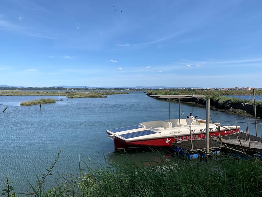 Solar Boat Tour along the Salgado da Ria de Aveiro - The Unique Appeal of the Solar-Powered Boat in Aveiro
