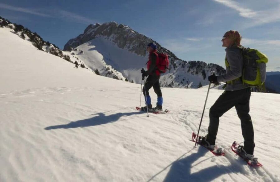 Solsonès: Guided Snowshoe Hike in Port del Comte - From the Meeting Point at Port del Comte to the Snowy Trails