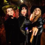 Somerset: Wookey Hole Caves Day Admission Ticket - The Limestone Caves and Underground Rivers of Wookey Hole