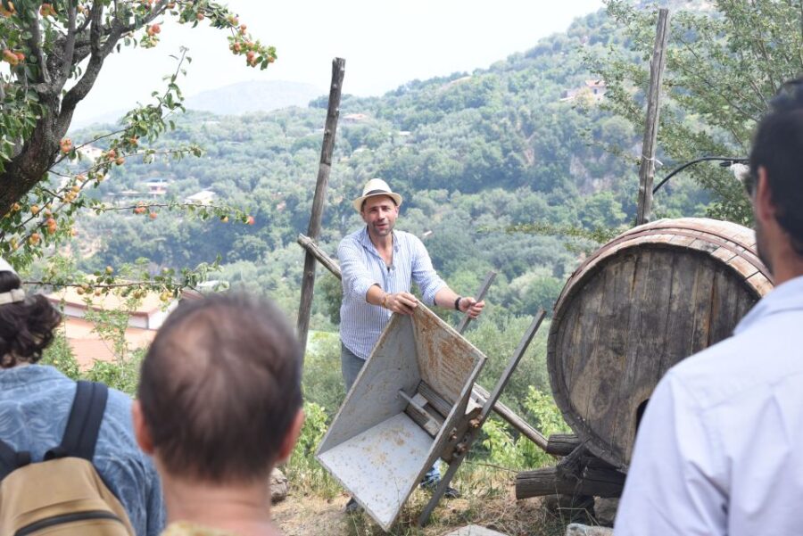 Sorrento: Farm Tour with Cheese Tasting & Pizza Making Class - Visiting a Typical Italian Farm in Sorrento