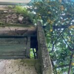 Sorrento: From the Hills to the Sea Hiking Tour - Exploring Casarlano: Green Hills and Heritage