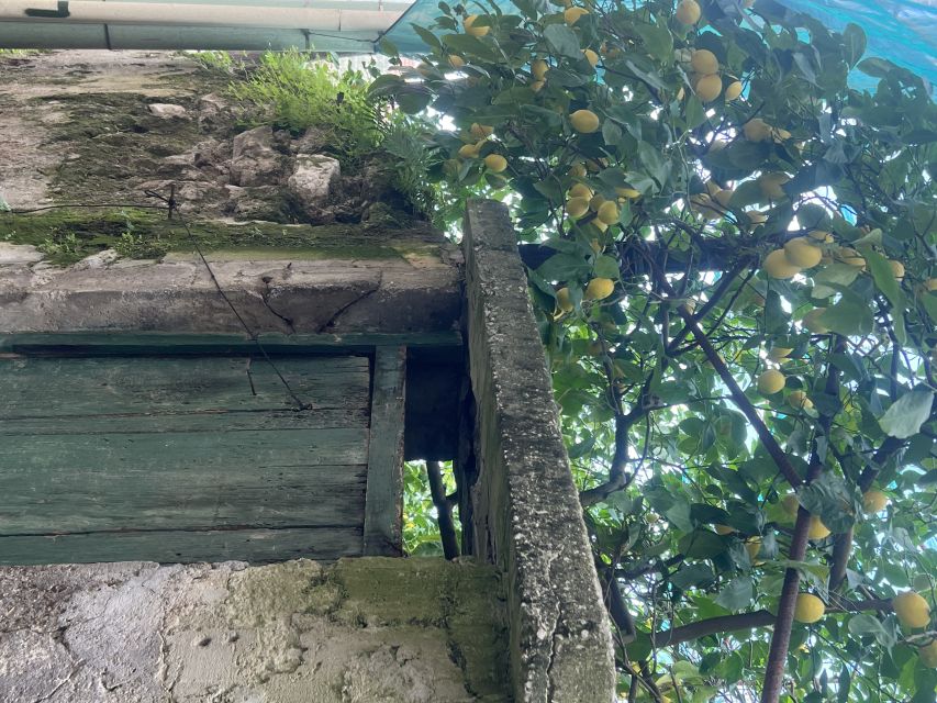 Sorrento: From the Hills to the Sea Hiking Tour - Exploring Casarlano: Green Hills and Heritage