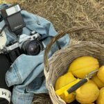 Sorrento: Lemon Tour with Limoncello Tasting - Navigating the Farm: Meeting Point and Access