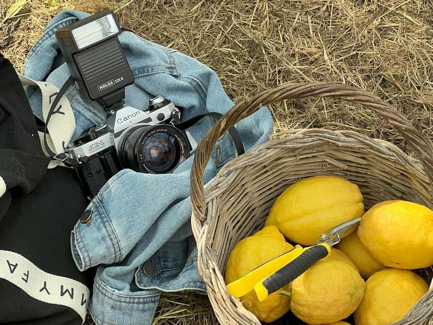 Sorrento: Lemon Tour with Limoncello Tasting - Navigating the Farm: Meeting Point and Access